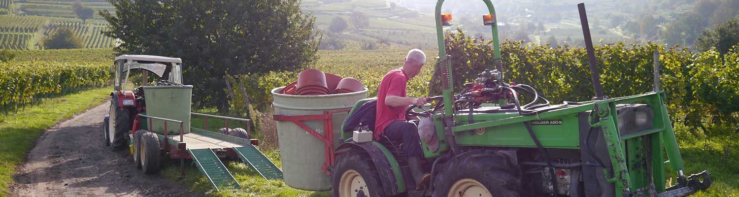 Weingut Hauser, Bötzingen